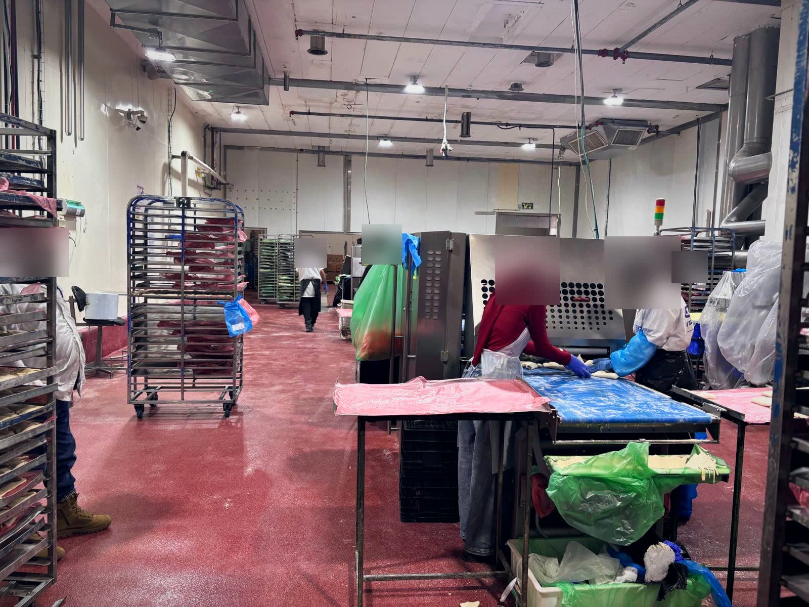 Food factory floor with a bakery production line and workers at a conveyor (faces blurred)